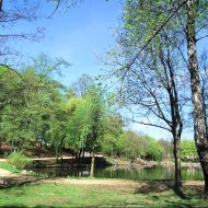 Dom Bytom Stroszek park Grota dwa stawy, osiedle r