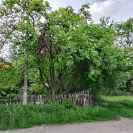 Działka pod dom jednorodzinny lub inwestycję Bytom