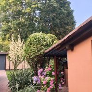 Dom bliźniak z ogrodem Ruda Śląska do zamieszkania